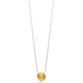 Bild in Galerie-Betrachter laden, Collier mit Anhänger Silber & Gold