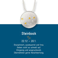 Bild in Galerie-Betrachter laden, Sternzeichen Steinbock - Silber & Gold & Brillant