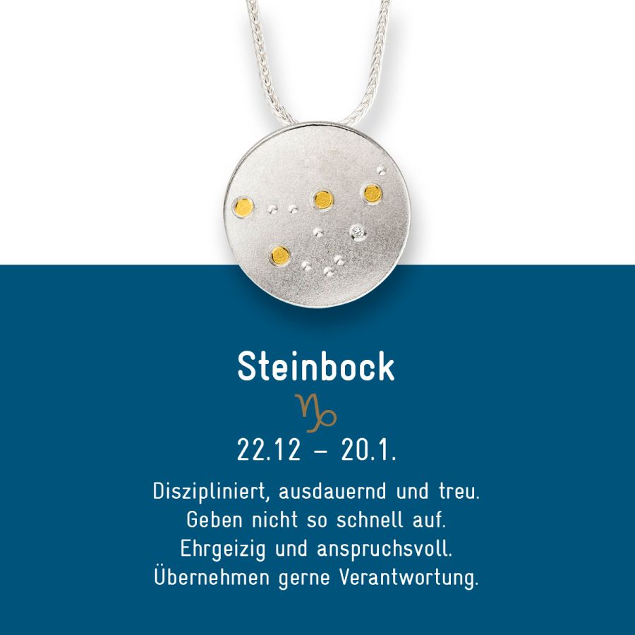 Sternzeichen Steinbock - Silber & Gold & Brillant