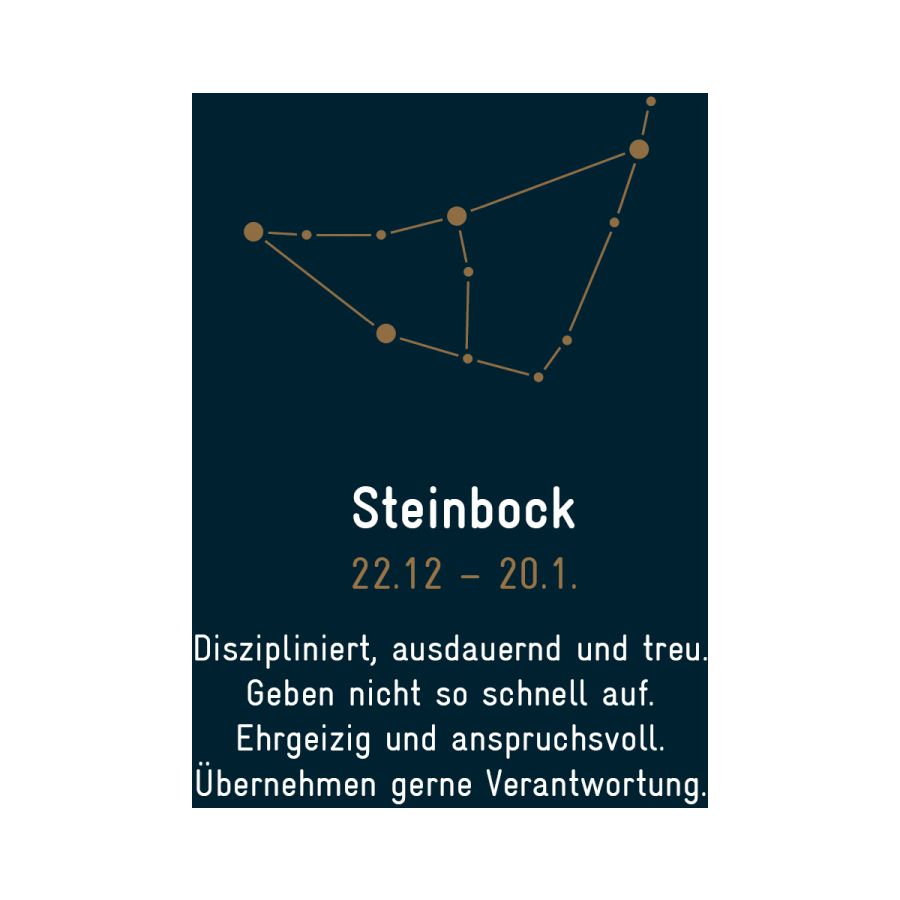Sternzeichen Steinbock - Silber & Gold & Brillant