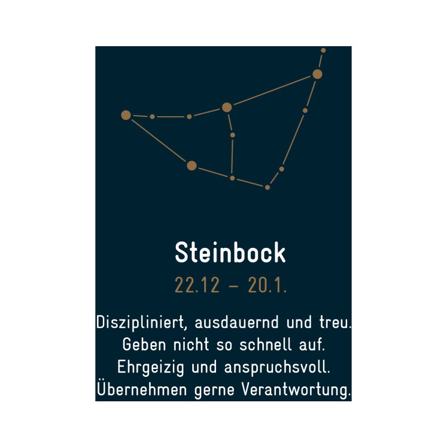 Sternzeichen Steinbock - Silber & Gold & Brillant